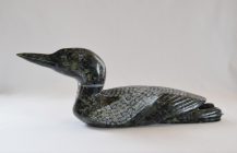 Loon – SOLD